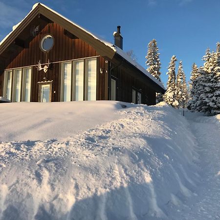 Ottsjoe-Are Lodge Extérieur photo
