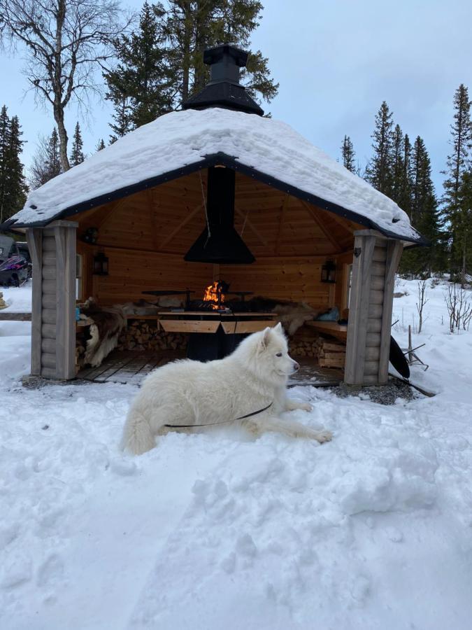 Ottsjoe-Are Lodge Extérieur photo